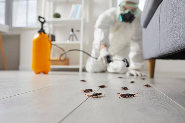 Affordable Cockroach Control solutions in East Glenville, NY
